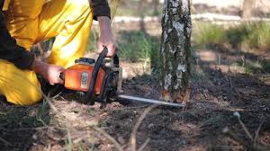 Best Soil Testing and Treatment  in Rossville, GA