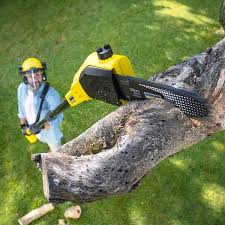 Best Emergency Tree Removal  in Rossville, GA