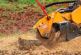 Reliable Rossville, GA Tree Removal Solutions